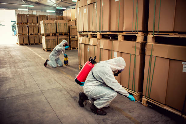 Best Flea Control Services  in Knox, IN