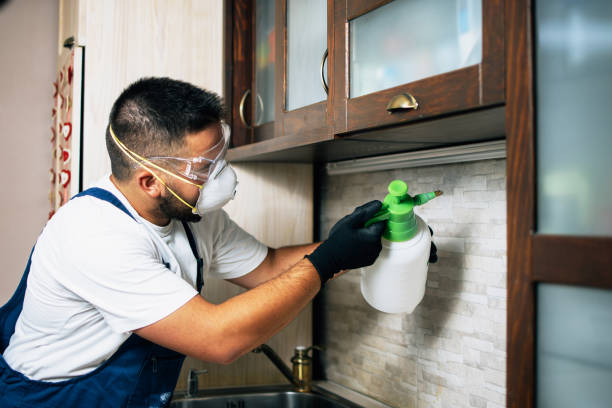 Best Emergency Pest Control  in Knox, IN