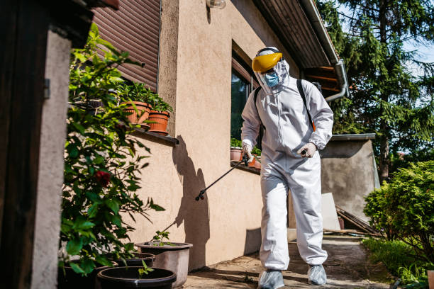 Best Pest Prevention Services  in Knox, IN