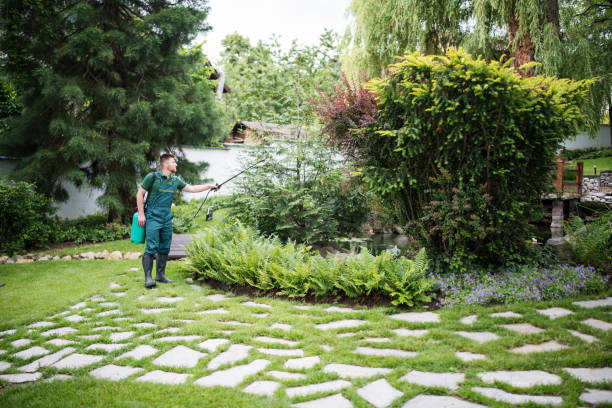 Best Pest Control for Homes  in Knox, IN