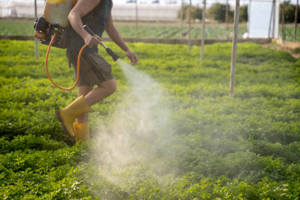 Pest Prevention Services in Knox, IN