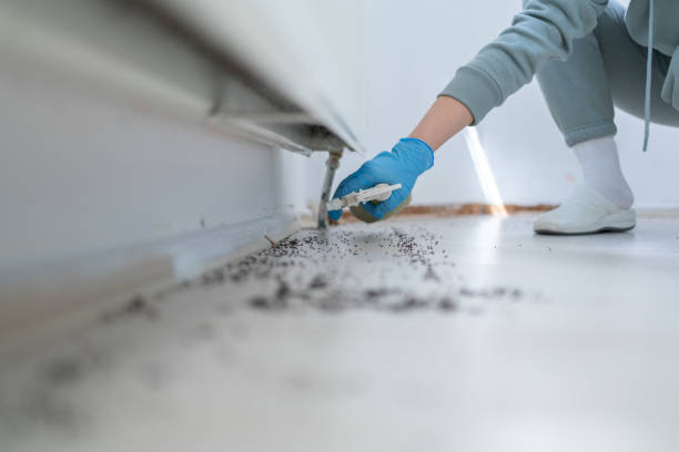 Best Pest Prevention Services  in Knox, IN