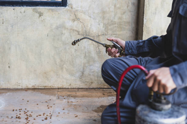Best Wasp Removal Services  in Knox, IN